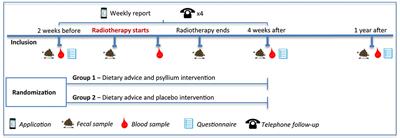 A Preparatory Study for a Randomized Controlled Trial of Dietary Fiber Intake During Adult Pelvic Radiotherapy